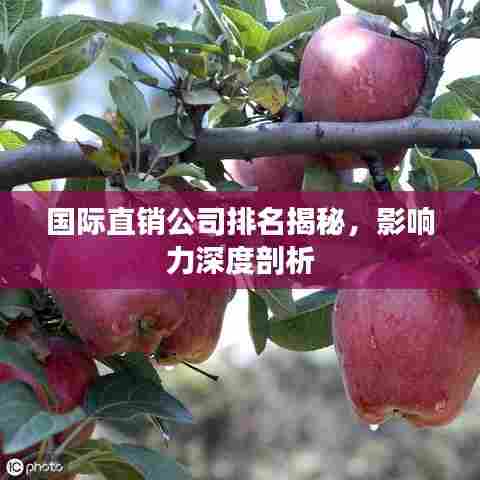 国际直销公司排名揭秘，影响力深度剖析