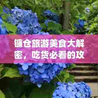 犯而不校 第8页