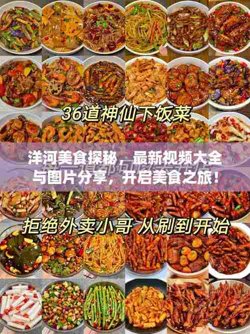 洋河美食探秘，最新视频大全与图片分享，开启美食之旅！