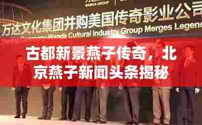 古都新景燕子传奇，北京燕子新闻头条揭秘