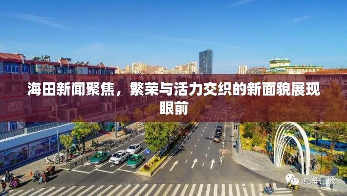海田新闻聚焦，繁荣与活力交织的新面貌展现眼前