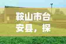 鞍山市台安县，探寻魅力之旅，一览风土人情！