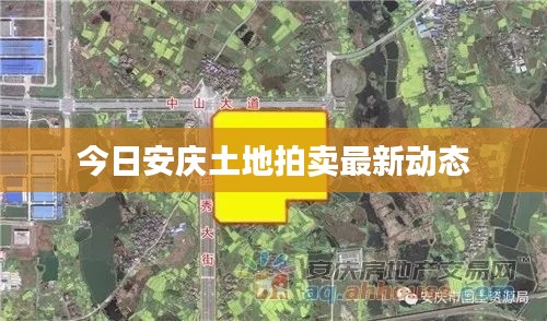 今日安庆土地拍卖最新动态