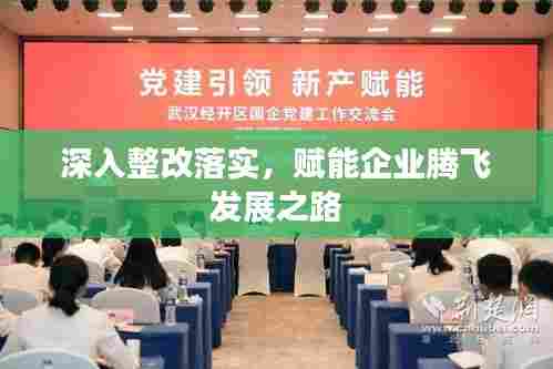 深入整改落实，赋能企业腾飞发展之路