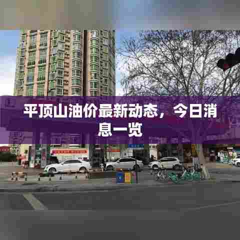 平顶山油价最新动态，今日消息一览