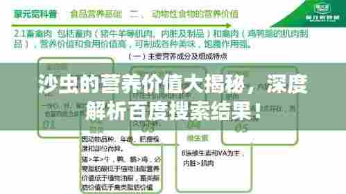 沙虫的营养价值大揭秘，深度解析百度搜索结果！