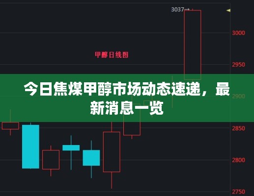 今日焦煤甲醇市场动态速递，最新消息一览