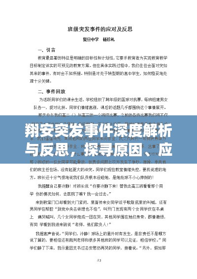 翔安突发事件深度解析与反思，探寻原因、应对之策及启示