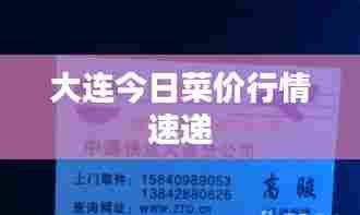 大连今日菜价行情速递