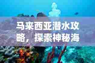 马来西亚潜水攻略，探索神秘海底世界之旅
