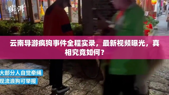 云南导游疯狗事件全程实录，最新视频曝光，真相究竟如何？