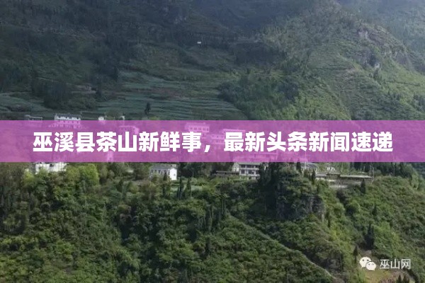 只争朝夕 第5页