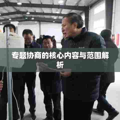 专题协商的核心内容与范围解析