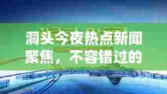 洞头今夜热点新闻聚焦，不容错过的头条资讯