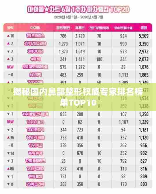 揭秘国内鼻部整形权威专家排名榜单TOP10