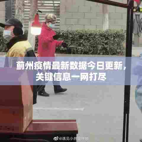 蓟州疫情最新数据今日更新，关键信息一网打尽