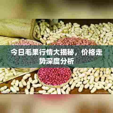 今日毛果行情大揭秘，价格走势深度分析