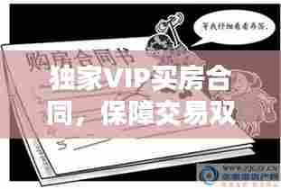独家VIP买房合同，保障交易双方权益的关键要素