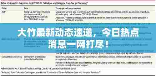 大竹最新动态速递，今日热点消息一网打尽！