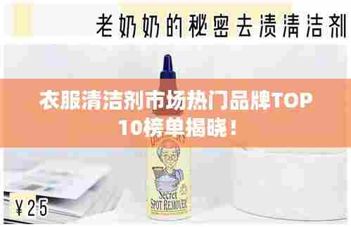 衣服清洁剂市场热门品牌TOP10榜单揭晓！