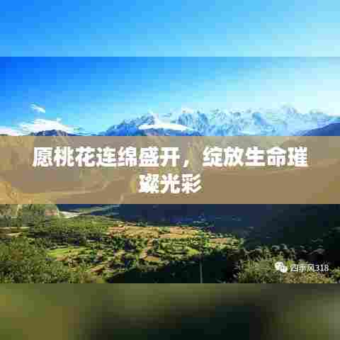 愿桃花连绵盛开，绽放生命璀璨光彩