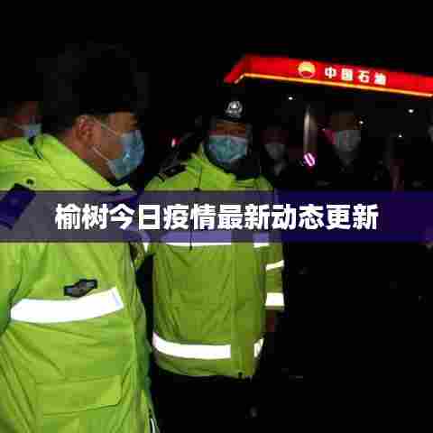 榆树今日疫情最新动态更新