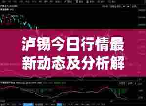 泸锡今日行情最新动态及分析解读