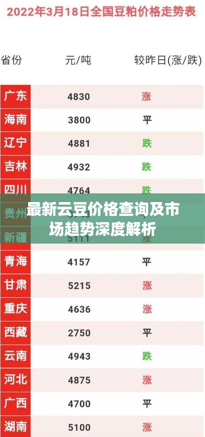 最新云豆价格查询及市场趋势深度解析