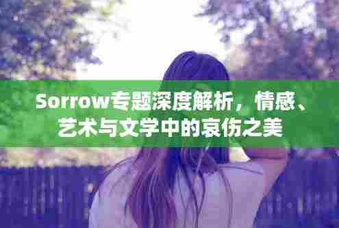 Sorrow专题深度解析，情感、艺术与文学中的哀伤之美