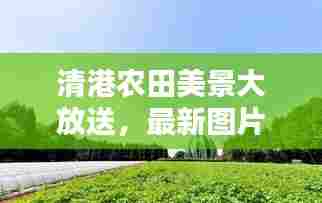 清港农田美景大放送，最新图片大全与高清大图欣赏