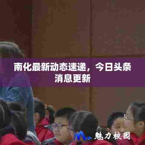 南化最新动态速递，今日头条消息更新