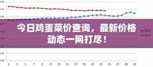 今日鸡蛋菜价查询，最新价格动态一网打尽！