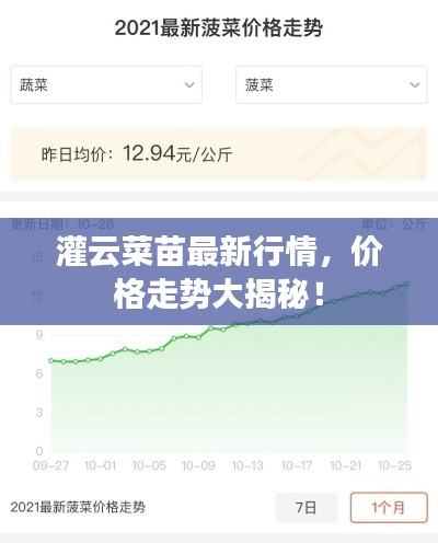 灌云菜苗最新行情，价格走势大揭秘！