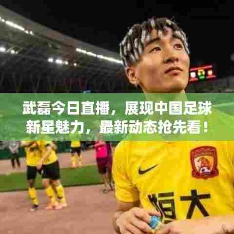 武磊今日直播，展现中国足球新星魅力，最新动态抢先看！