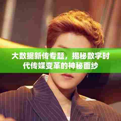 大数据新传专题，揭秘数字时代传媒变革的神秘面纱