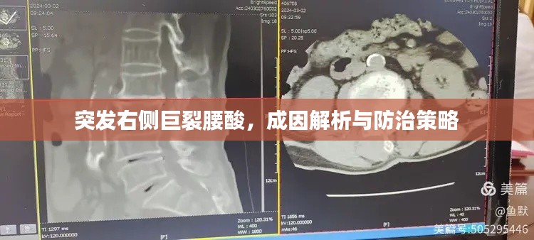 突发右侧巨裂腰酸，成因解析与防治策略