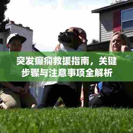 突发癫痫救援指南，关键步骤与注意事项全解析