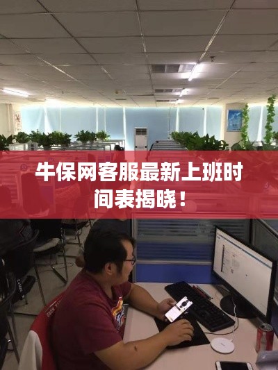 牛保网客服最新上班时间表揭晓！
