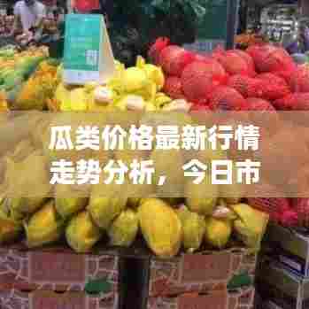 瓜类价格最新行情走势分析，今日市场动态揭秘