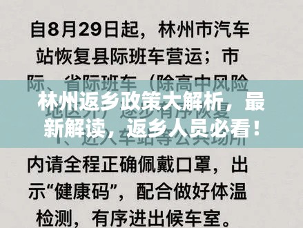 林州返乡政策大解析，最新解读，返乡人员必看！