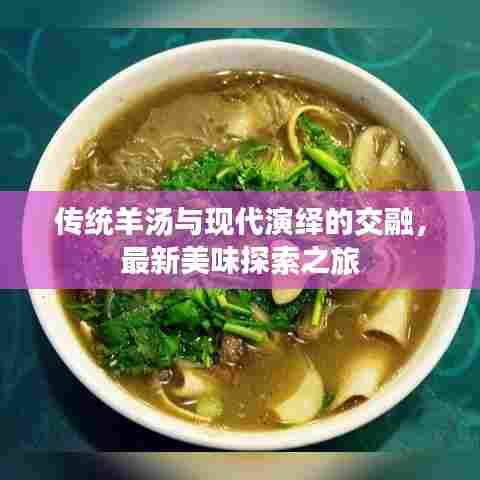 传统羊汤与现代演绎的交融，最新美味探索之旅