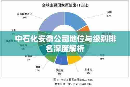 虚张声势 第5页