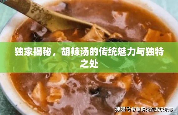 独家揭秘，胡辣汤的传统魅力与独特之处