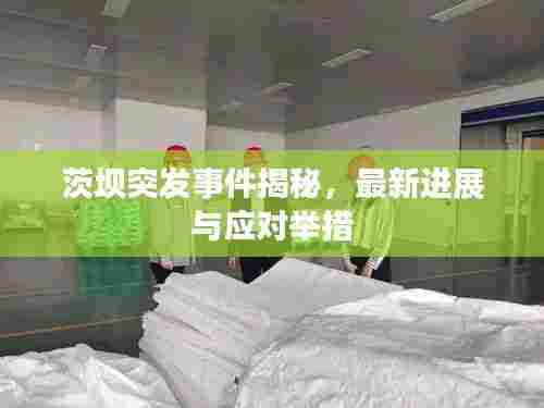 茨坝突发事件揭秘，最新进展与应对举措