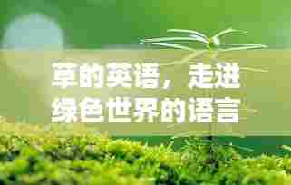 草的英语，走进绿色世界的语言魅力