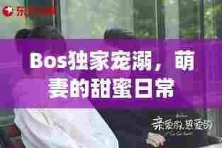 Bos独家宠溺，萌妻的甜蜜日常
