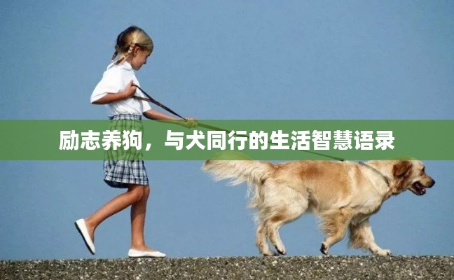 励志养狗，与犬同行的生活智慧语录
