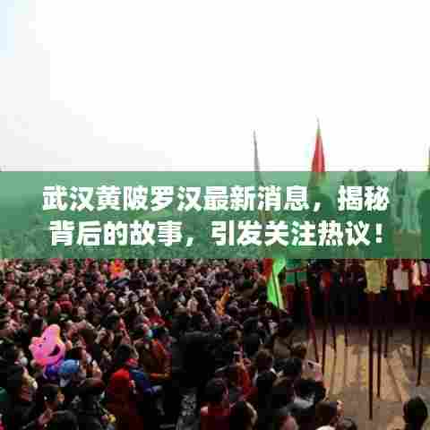 武汉黄陂罗汉最新消息，揭秘背后的故事，引发关注热议！