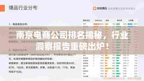 南京电商公司排名揭秘，行业洞察报告重磅出炉！