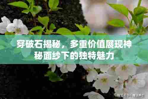 穿破石揭秘，多重价值展现神秘面纱下的独特魅力